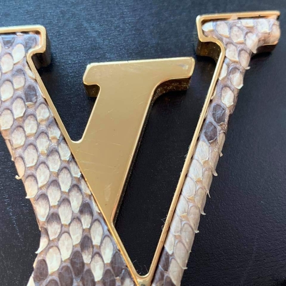 Authentic Louis Vuitton Louise Python GM Bog - Picture 4 of 8